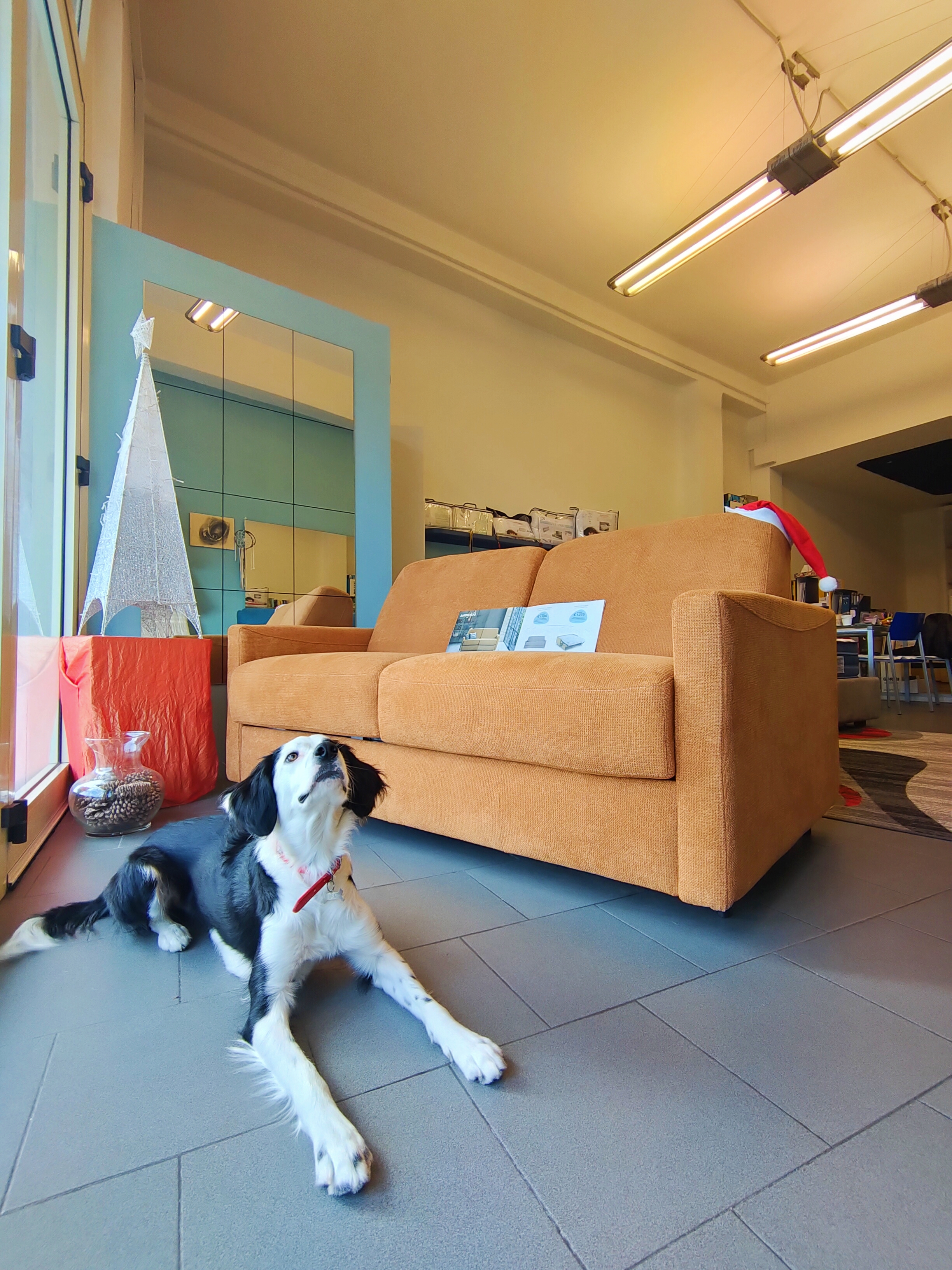 Blu company vallecrosia Divano